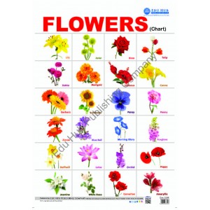 Flowers Name Chart